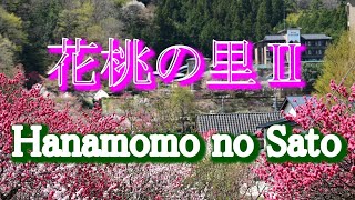 花桃の里Ⅱ　Hanamomo no Sato. 　昼神温泉郷