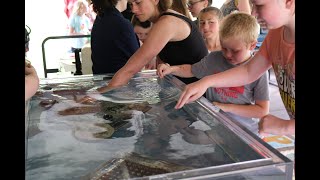 2025 Summer Library Program