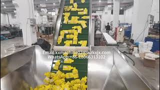 Auto Robot Tray Filling Side End Load Cartoner Machine Master Carton Case Packing Machine Palletizer