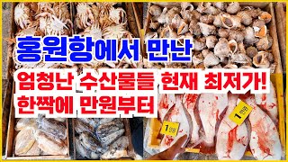 홍원항 다양한 생물 수산물 최저가에 냉장고가 가득합니다 당분간 반찬걱정 끝