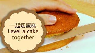 【 Phoeni's corner 】一起把蛋糕切成一層層Level a cake together