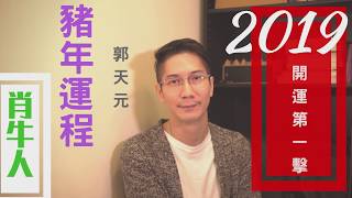 🎊2019 己亥「豬年」十二生肖運程簡介 ➤肖牛人