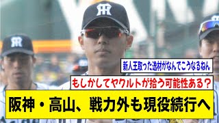 阪神戦力外・高山「結果出てないがレベルアップできてる」と現役続行へ【2ch 5ch野球】【なんJ なんG反応】