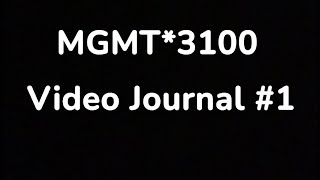 MGMT*3100 Video Journal #1