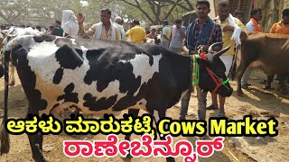 Cow 🐄 Market In Ranebennur || 24/03/2024 ಆಕಳು 🐄 ಮಾರುಕಟ್ಟೆ ರಾಣೇಬೆನ್ನೂರ್