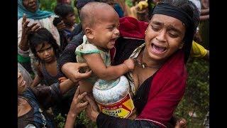 ১১লাখ রোহিঙ্গার মধ্যে ৫ জনকে ফিরিয়ে নেয়া মিয়ানমারের  চক্রান্ত! | Myanmar News | Somoy Tv