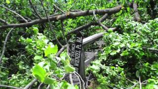 Storm Damage - Brainerd Dispatch, MN