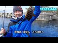 初島で釣り‼️～タカノハダイを釣るの巻♪～