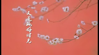 春风有信，花开有期。