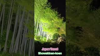 【4K】Night Walk in  Showakinen-koen/国営昭和記念公園#tokyo #travel #nightwalk