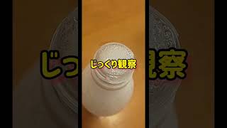 炭酸振って凍らせてみた