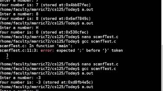 C programming: error checking with scanf and while loops