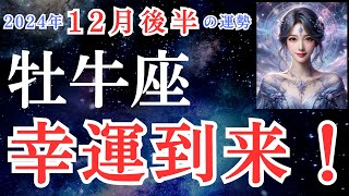 【牡牛座】2024年12月後半　おうし座さんの運勢を占星術とタロットで占います！