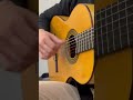 rumba strumming guitar guitarmusic flamencoguitarist guitarsongs flamencoguitarra