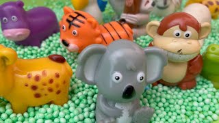 Amazing Zoo Animal Toys for Kids