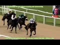 Body Parts wins at Southwell Apr, 29 2024 Horse Racing RESULTS Bet