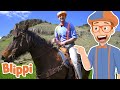 Blippi Visits a Ranch! | Learns About Animals & Machines For Kids | Educational Video for Toddlers