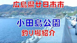 小田島公園（広島県廿日市市）の釣り場紹介