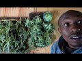 inside a tiny mabati paradise by a 25yr old part 2 tinyhouse sustainability