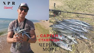 Рыбалка на Саргана, Ставриду, Луфаря в Витязево - Черное море !