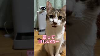 【初案件】猫の自動給餌器OsitterをPR#shorts