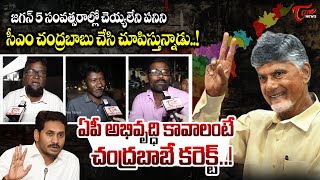 Vijayawada Public Talk on CM Chandrababu Govt | AP Public Talk | TOne News