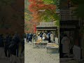 kyoto 情感 恋爱 日本旅游 治愈系 travel 故事以你的打扰开始 从我的多余结束 时间在不断 love japan heal start with your trouble