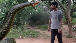 Big Anaconda Snake Attack  In Real Life  HD Video| Big Anaconda| mixed vedio | #anaconda #bigsnake