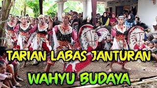 TARIAN LABAS JANTURAN ▫️ WAHYU BUDAYA ▫️ Live Karangsalam, susukan