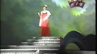 風之網    演出人  張鳳鳳      演唱曲    梅花夢