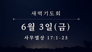 신내 대광교회 새벽예배 22-06-03 사무엘상 17장 1~23절