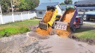 Full video Project !! Land filling Delete Pond Use bulldozer D20p with Dump Trucks 5T Unloading.