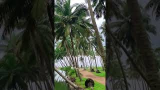 Thambankadavu Arappa Beach, Thrissur