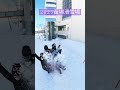 2023苗場滑雪場