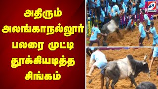 அதிரும் அலங்காநல்லூர் - பலரை முட்டி தூக்கியடித்த சிங்கம் | jallikatu | alanganallur