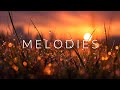 Ambient Guitar Study Music ~ Autumn Forest Serenity & Deep Focus Melodies