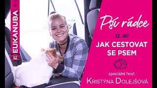 PSÍ RÁDCE - 12. díl, jak cestovat se psem / speciální host Kristýna Dolejšová - Za Normální Holky