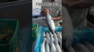 ఫంక్షన్ కి టోన్ ఫిష్ డెలివరీ చేశాను#trendingshorts#viralshorts#seafishing#ocean#nanifishpacking