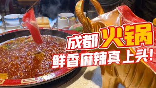 不吃火锅等于白来成都，毛肚，鸭肠，虾滑完全纯手工，麻辣过瘾真上头！【唐哥美食】