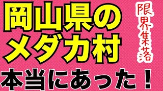 世界メダカ奇行岡山県一鱗亭中編/限界集落にある高級メダカ専門店店主が、唯一難しい事を告白する。メダ活しながら聴く動画