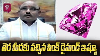 తెరమీదకు వచ్చిన పింక్ డైమండ్ ఇష్యూ | Tirumala Pink Diamond | Prime9 News