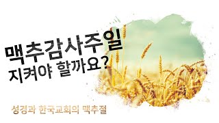 [교회절기] 맥추감사절을 지켜야 할까요?