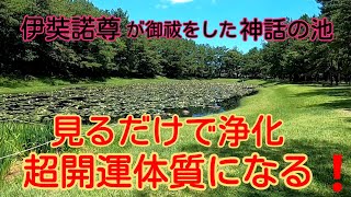 【No.128 江田神社 】天津祝詞みそぎ発祥の地を訪ねてみました。表現できない素晴らしさ。