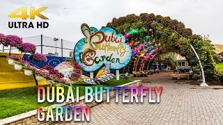 Dubai Butterfly Garden 4K Ultra HD