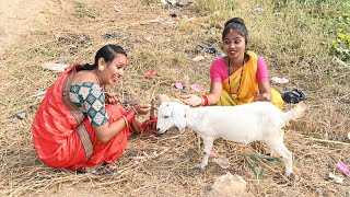 बकरी की ब्याह करने पगली चली | Bhojpuri comedy