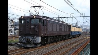 【配給輸送】 EF64-37+クモユニ143 別所信号場～大宮操車場通過