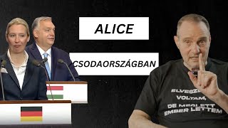 Alice Csodaországban | Pajor Tamás