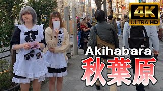 【4K Japan】2023.4 秋葉原を散歩『Walk in Akihabara in April』