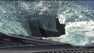 Web Exclusive: Turtle smashes into car in South Carolina