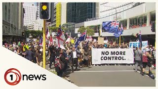 Thousands of protesters descend on Parliament